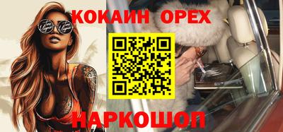 гашик Моздок