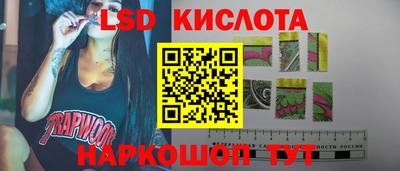 гашик Моздок