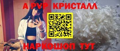 гашик Моздок