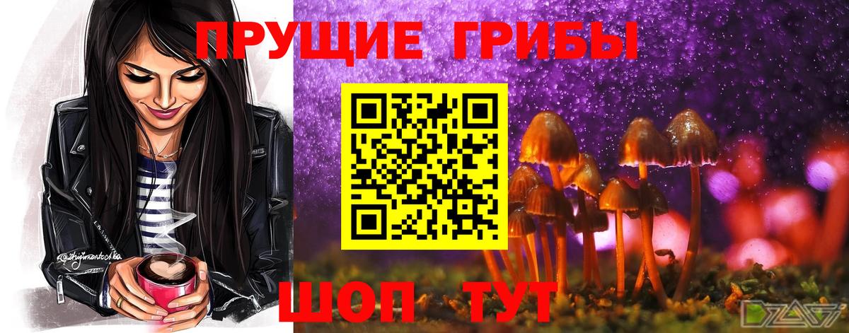 Псилоцибиновые грибы GOLDEN TEACHER Тулун