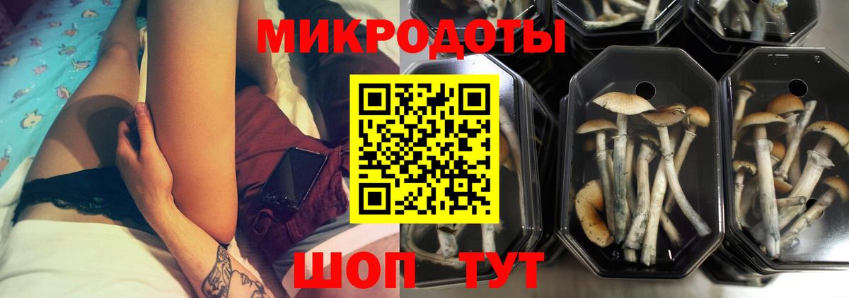 Тулун  Галлюциногенные грибы MAGIC MUSHROOMS  Вход с VPN  что такое   Галлюциногенные грибы Psilocybe 